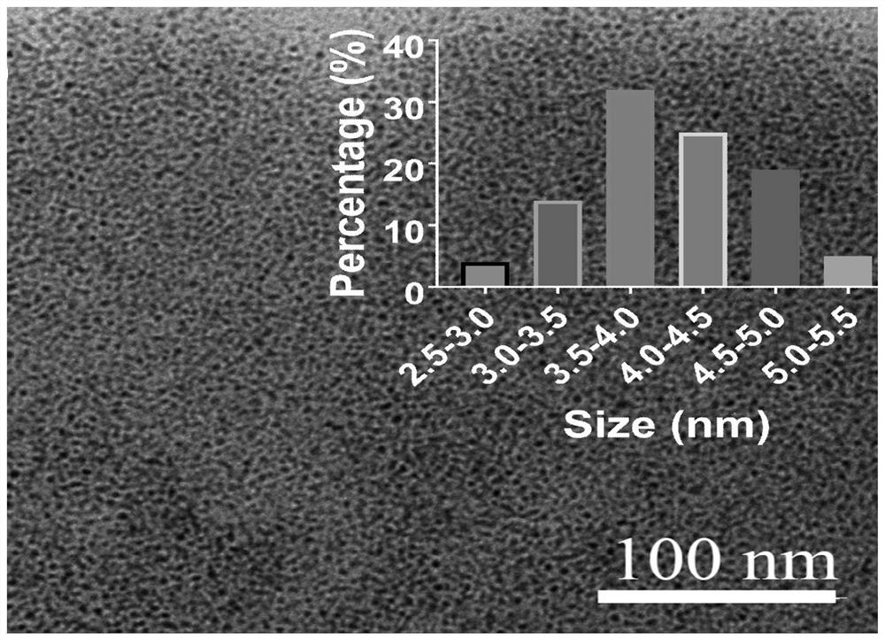 Ultrasmall gold nanoparticles for mitochondrial targeting and rapid renal metabolism in tumor cells