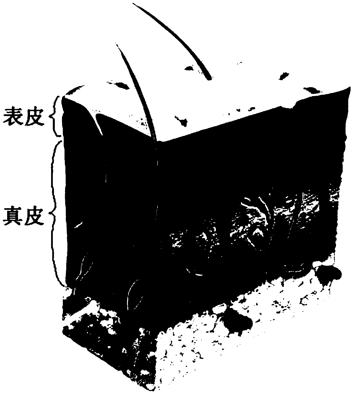 Optical imaging method based on layer structure