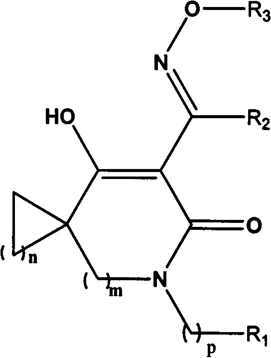 Oxime ether derivatives of spirocyclic tetronic acid, the preparation thereof, and insecticidal, acaricidal, bactericidal and herbicidal usages thereof