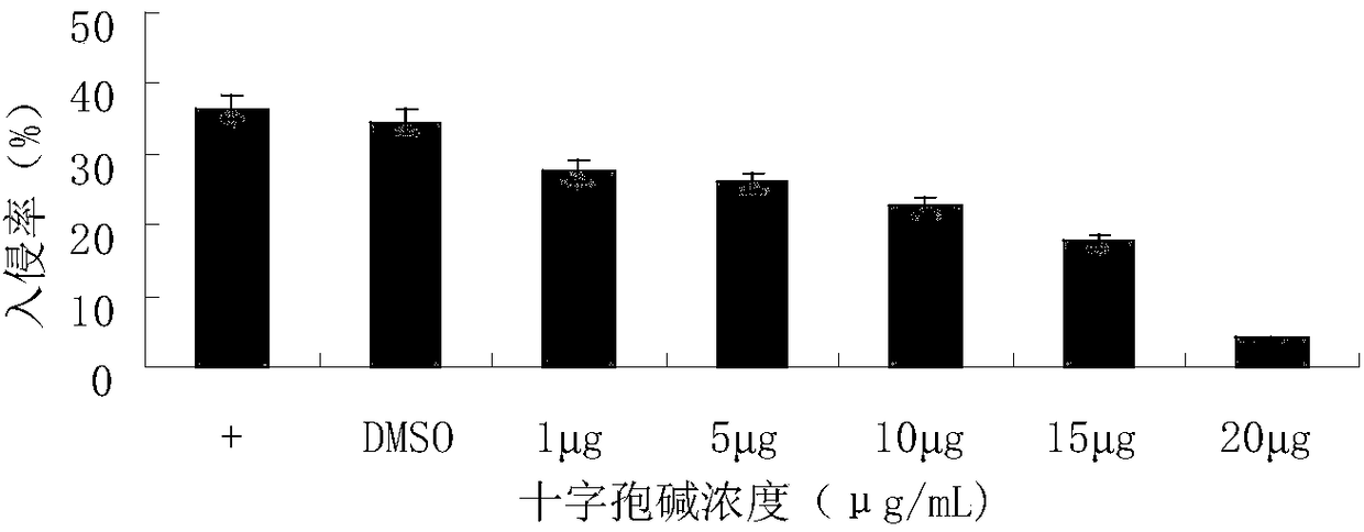 Applications of staurosporine in resistance of Coccidiosis in chicken