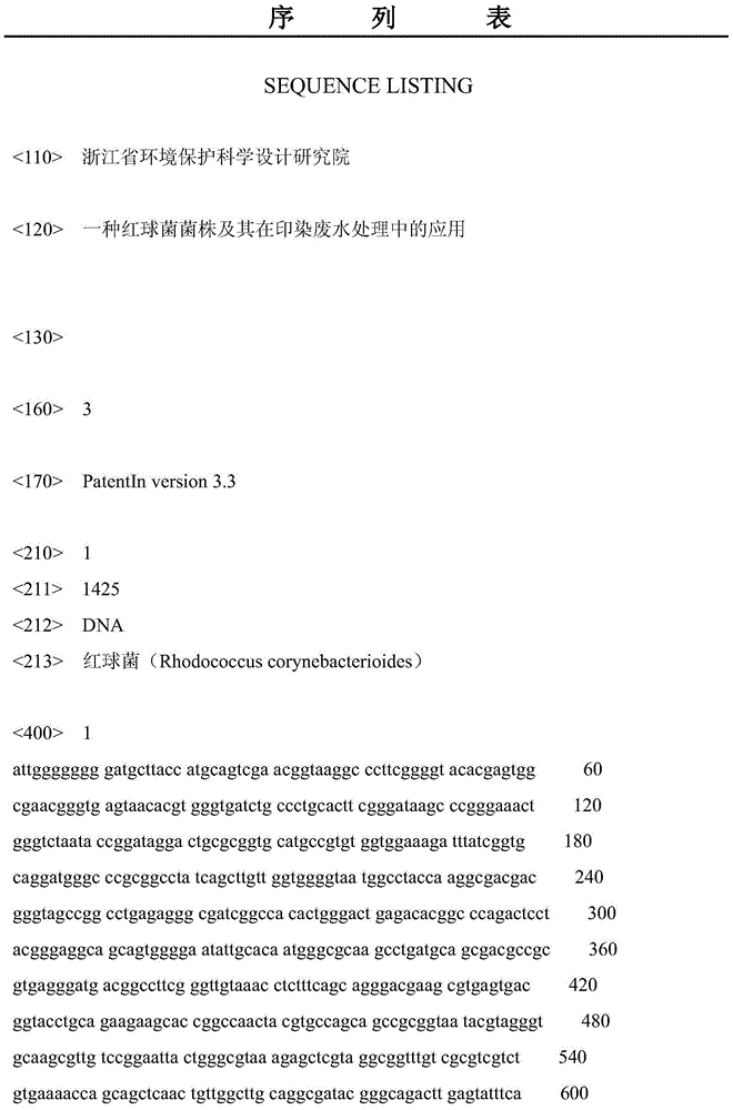 A Rhodococcus strain and its application in printing and dyeing wastewater treatment