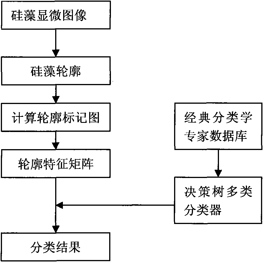 Diatom characteristic description and classification method based on contour drawing