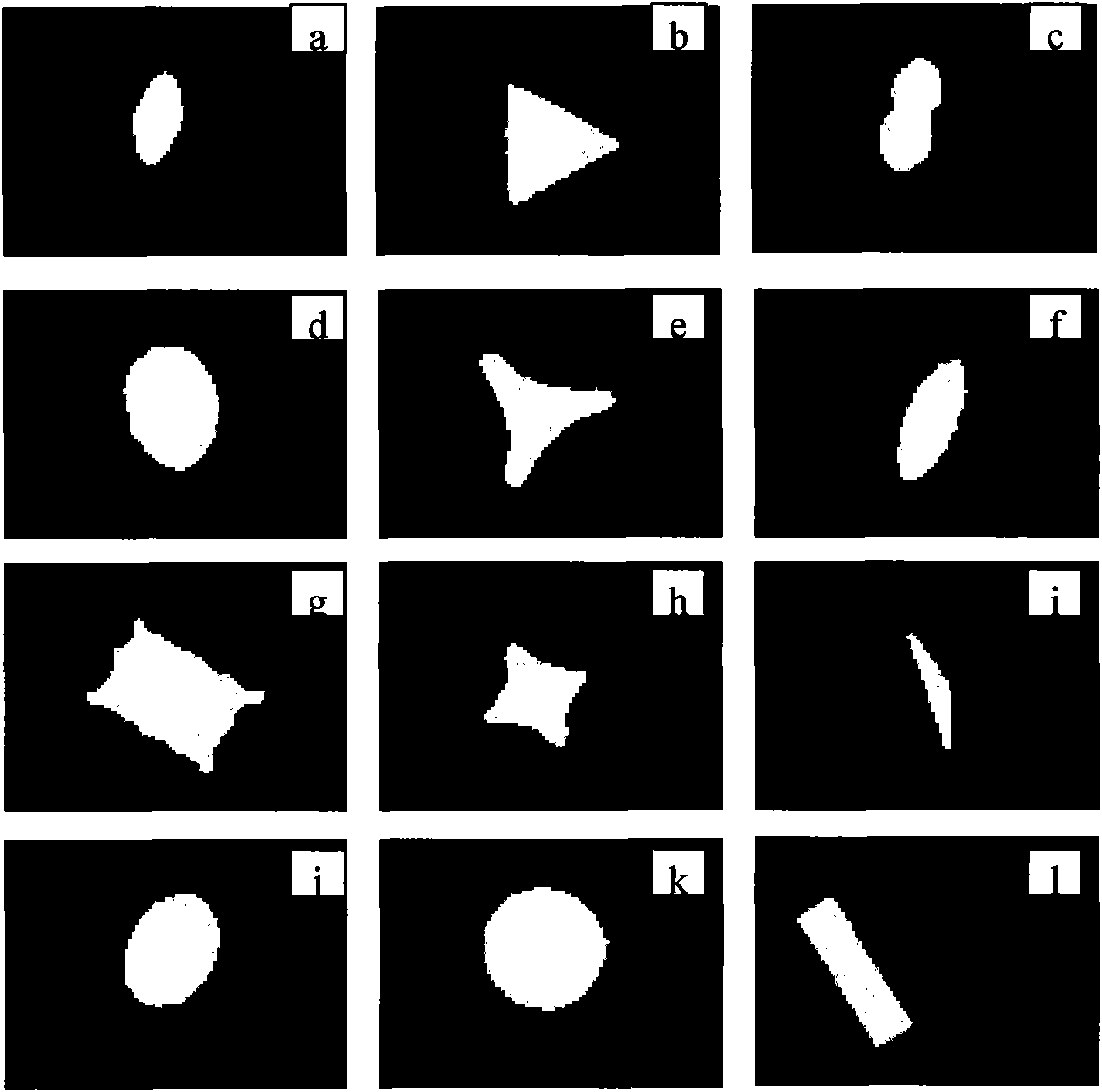 Diatom characteristic description and classification method based on contour drawing