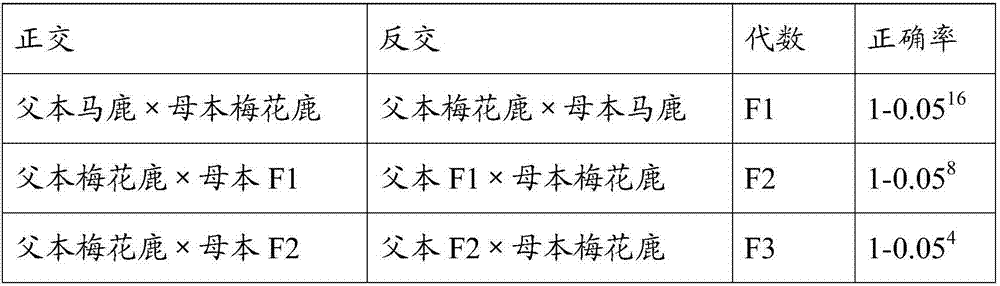 Molecular marker for identifying antler varieties, identification method and application thereof