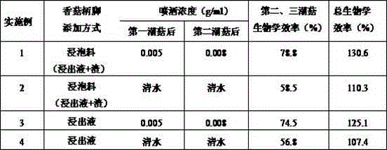 Cultivation method for grifola frondosa