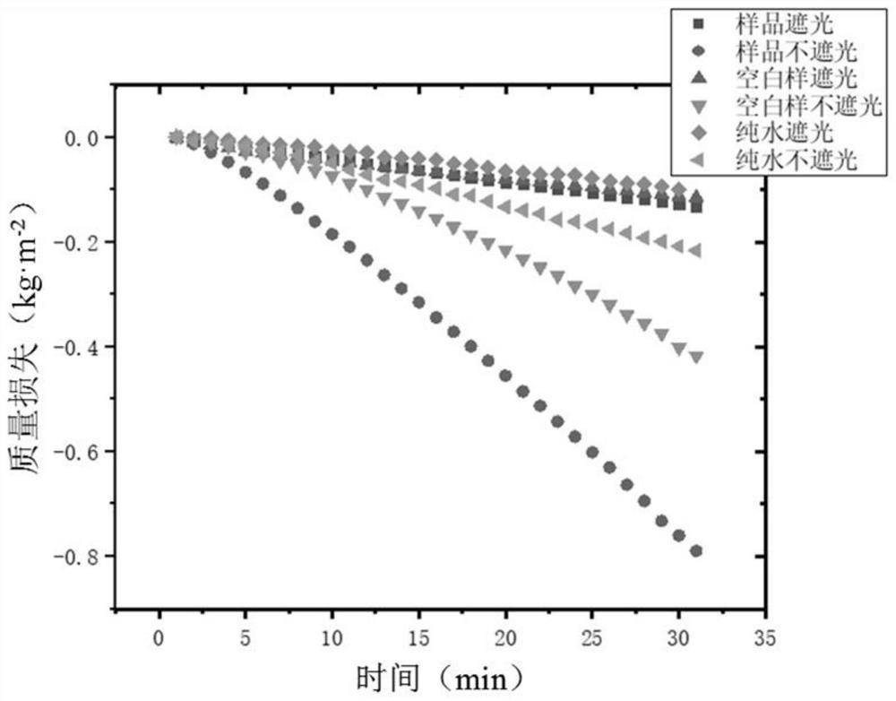 Polypyrrole-coated cattail wool-based ultra-light biomass porous foam as well as preparation method and application thereof