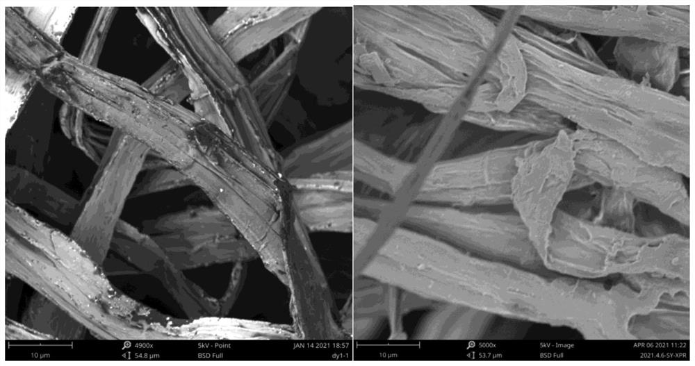 Polypyrrole-coated cattail wool-based ultra-light biomass porous foam as well as preparation method and application thereof