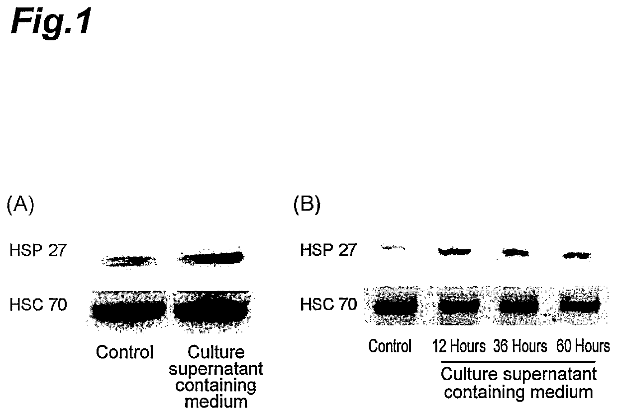 Intestinal protectant