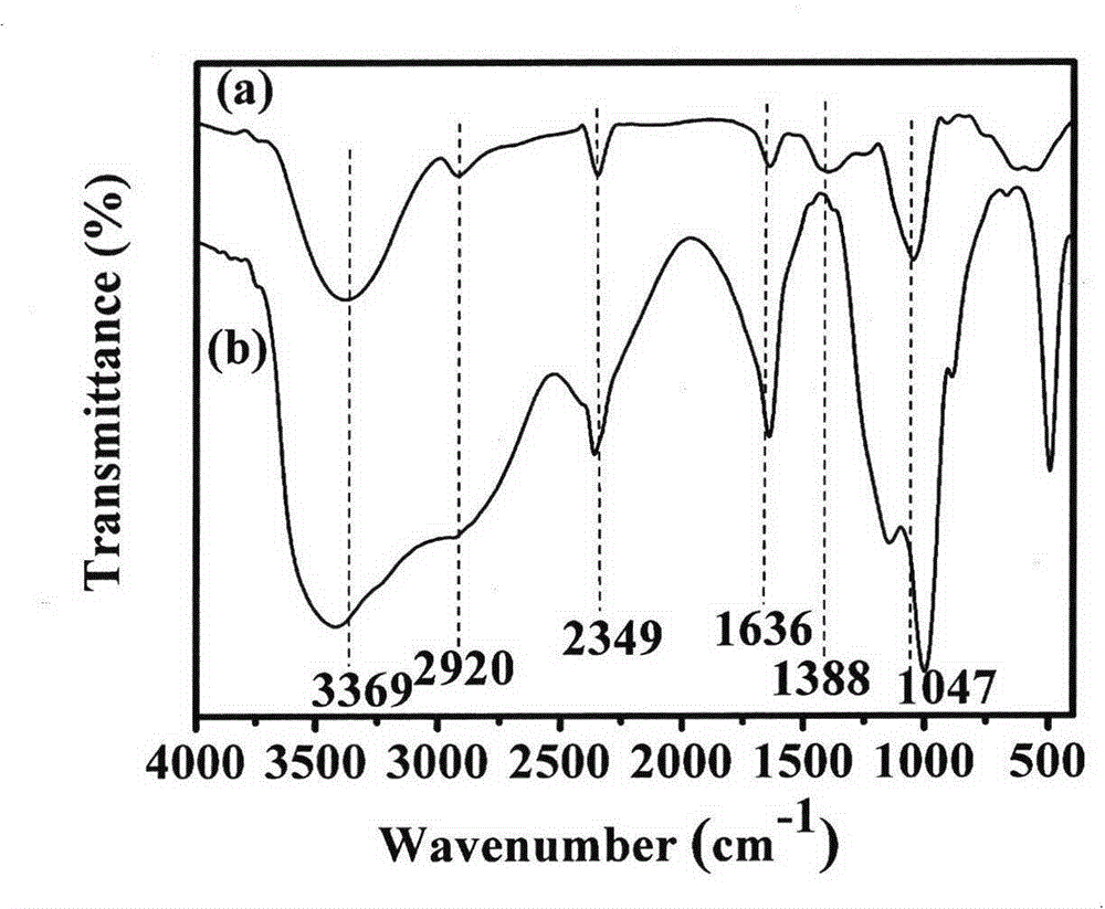 New preparation method of fluorescent carbon nanoparticles and application in biological samples