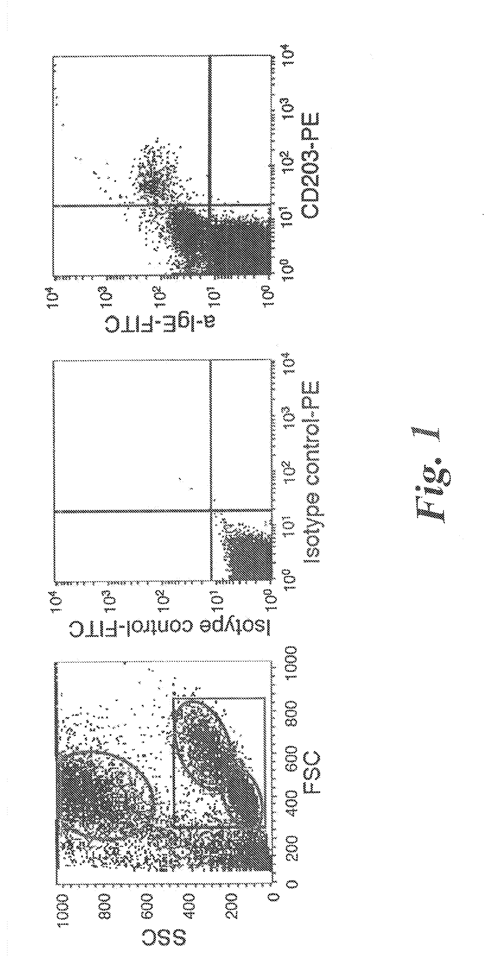 Process for enriching basophils in a blood sample