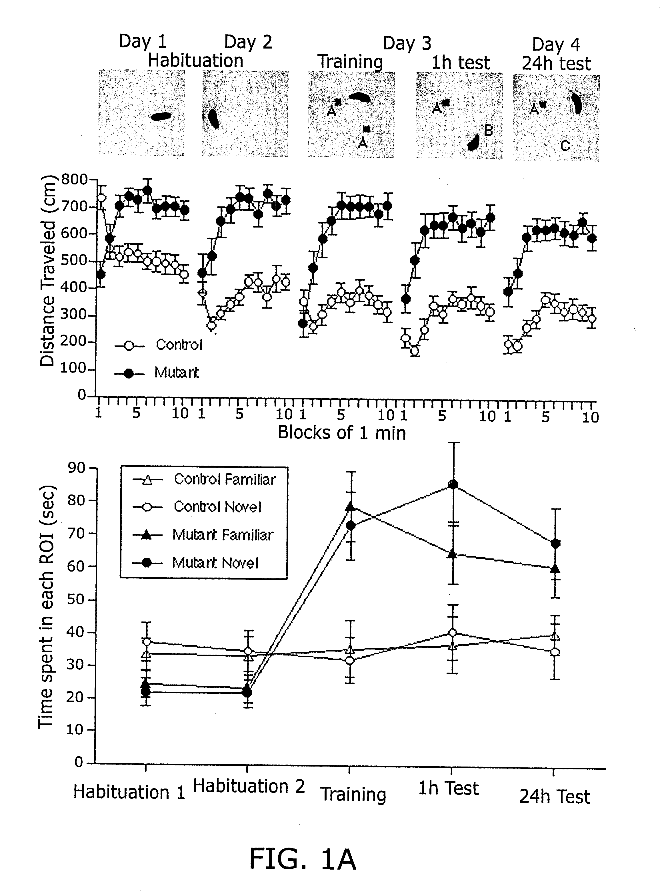 Targets, methods, and reagents for diagnosis and treatment of schizophrenia