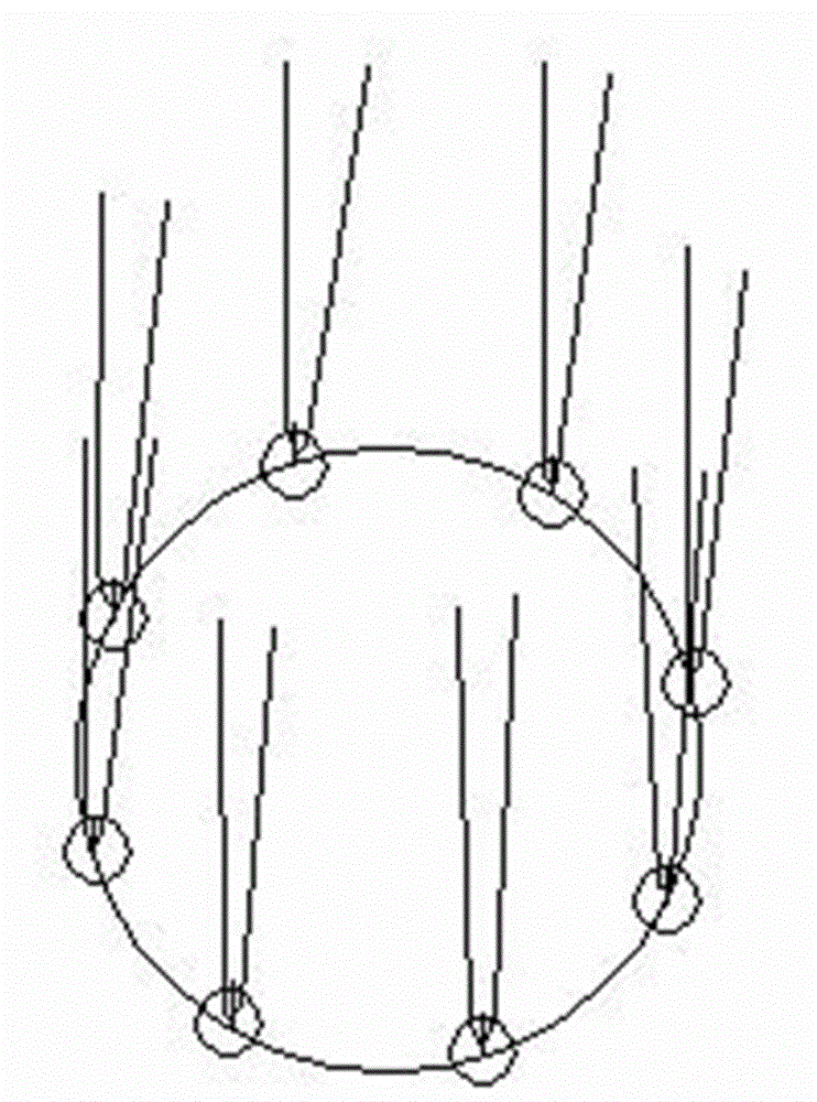 Cultivation method for large landscape tree