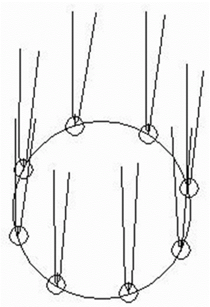 Cultivation method for large landscape tree