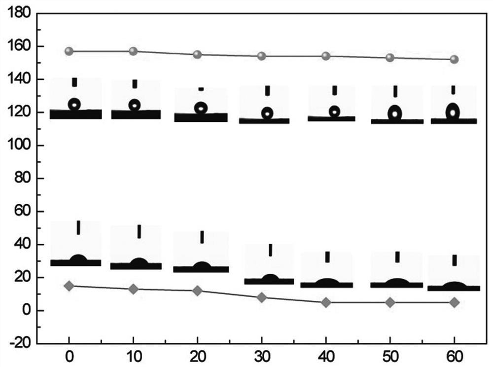 Preparation of chemically-stable super-hydrophobic wood