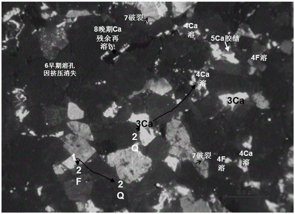 Method for determining diagenetic process and porosity evolution process of foreland basin sandstone reservoir