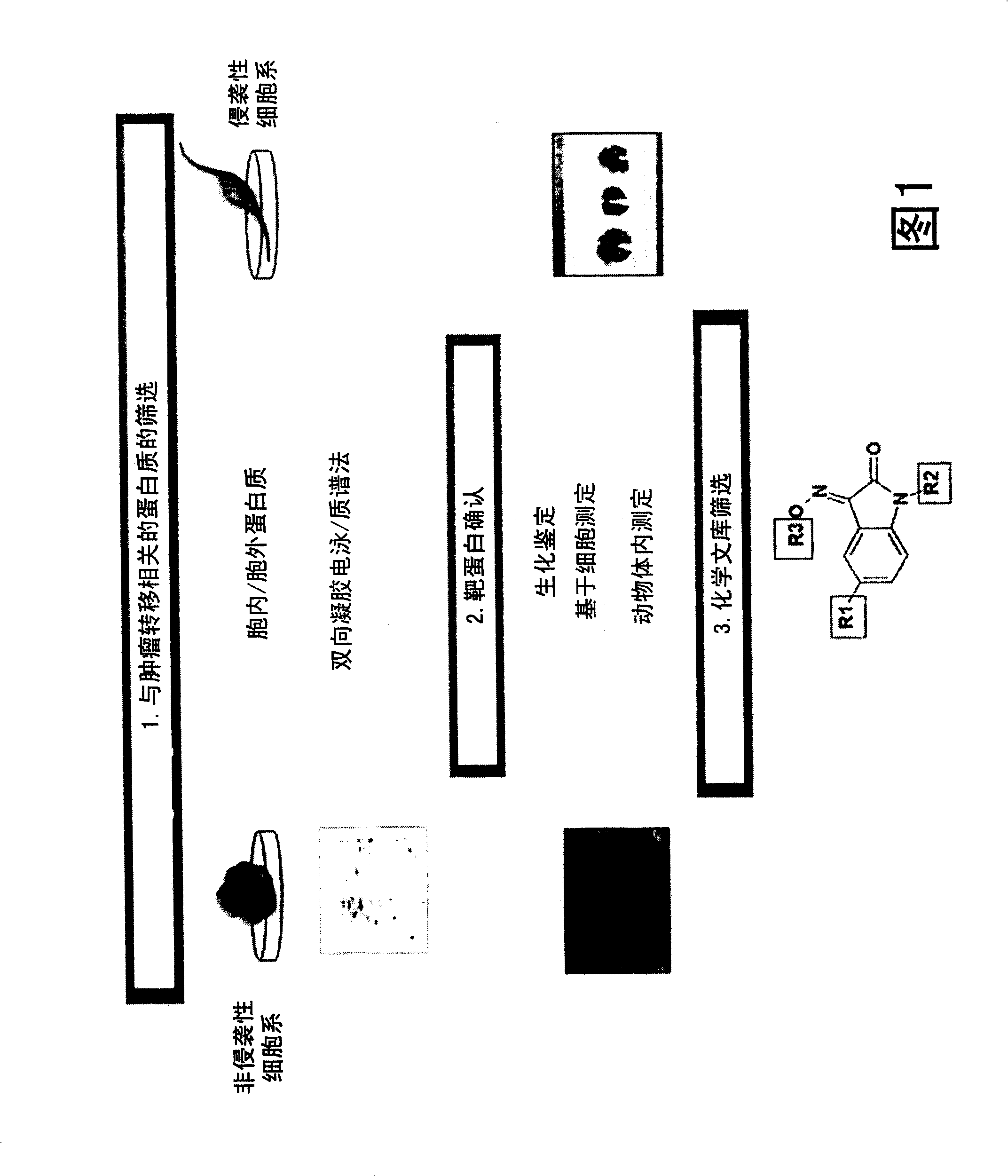 Novel use of ubiquitin c-terminal hydrolase-l1