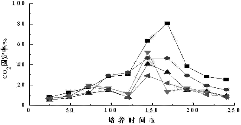 Method and device for low-carbon emission energy regeneration by coupling waste gas and waste water