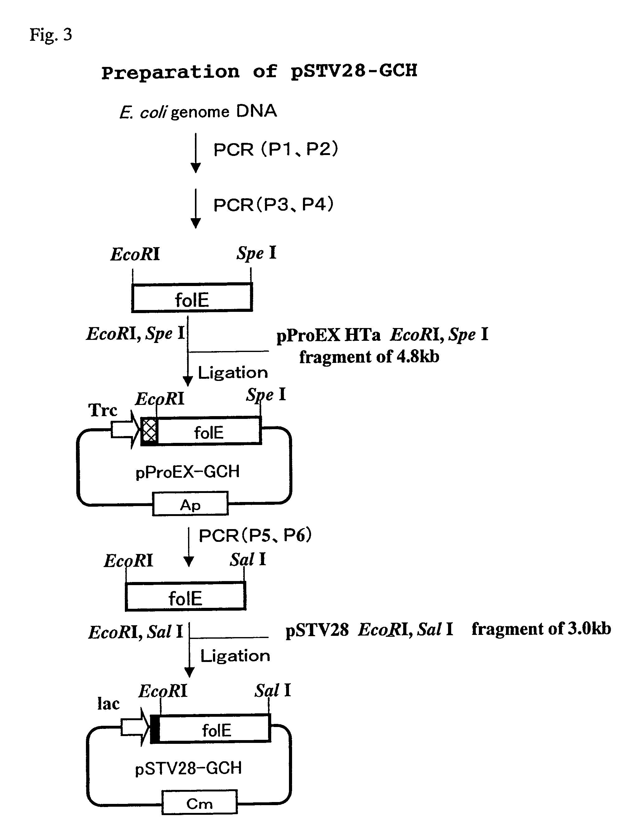 Process for production of biopterin compound