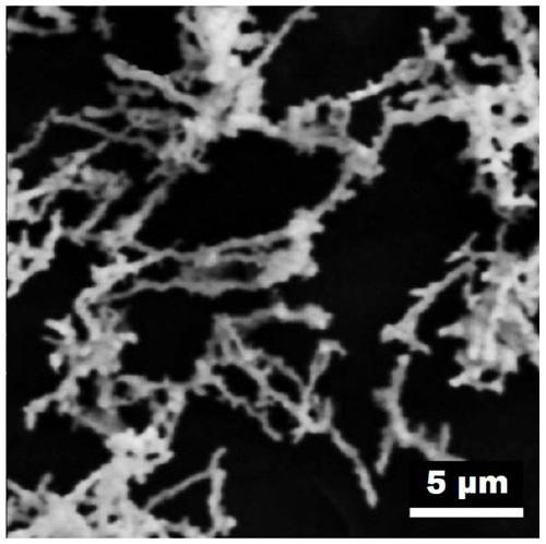 Preparation method of au-ir nanochain electrocatalyst for water splitting and oxygen production