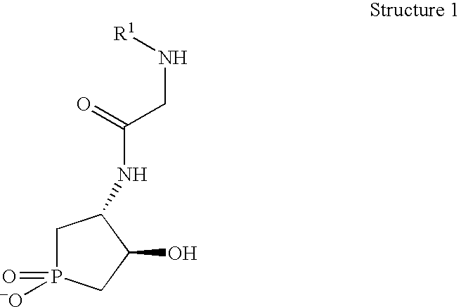 Asparagine deaminase catalytic antibodies