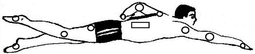 Swimming stroke adjusting device, swimming stroke information processing system and swimming stroke information processing method