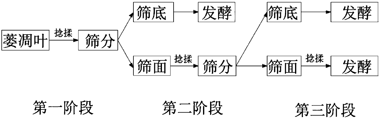 Preparation method of Yunnan congou black tea