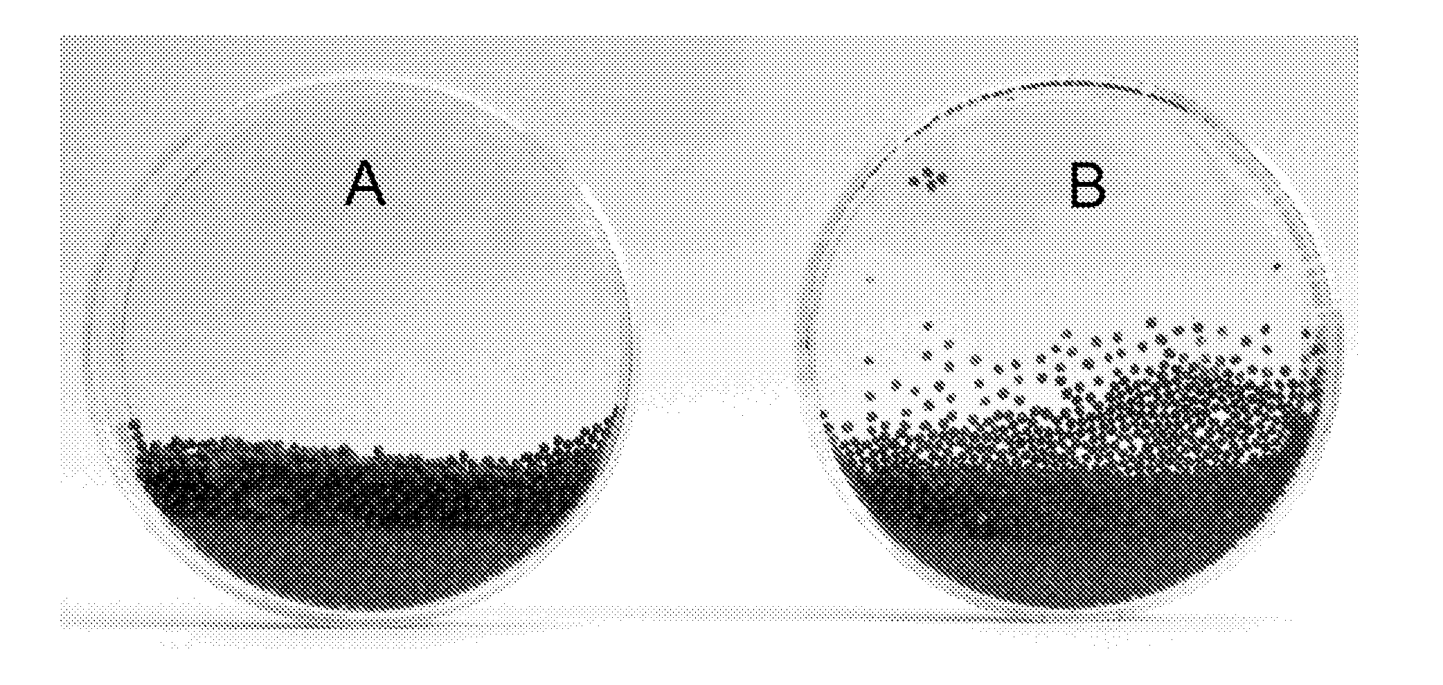 Coating Composition and Use Thereof