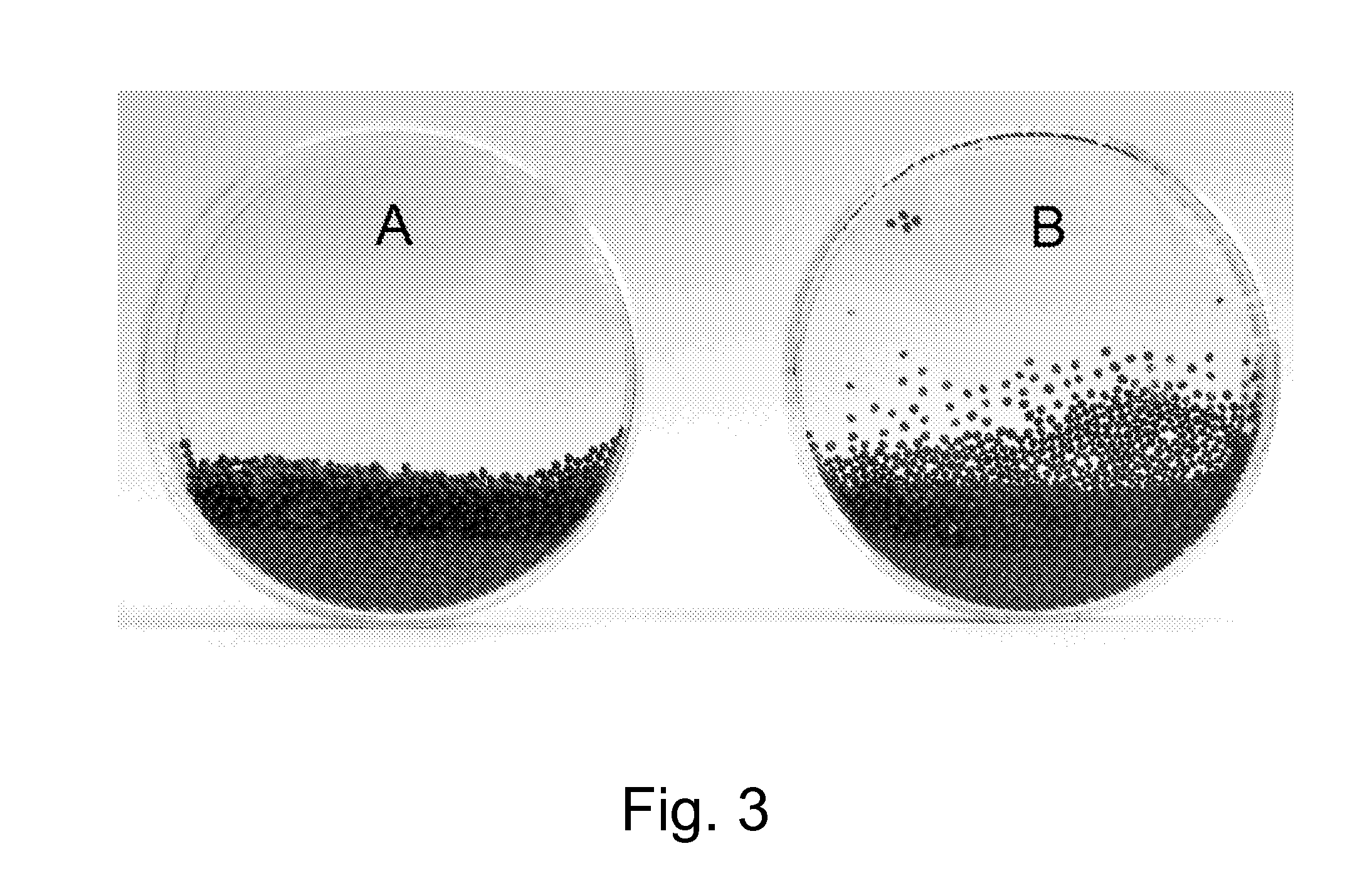 Coating Composition and Use Thereof