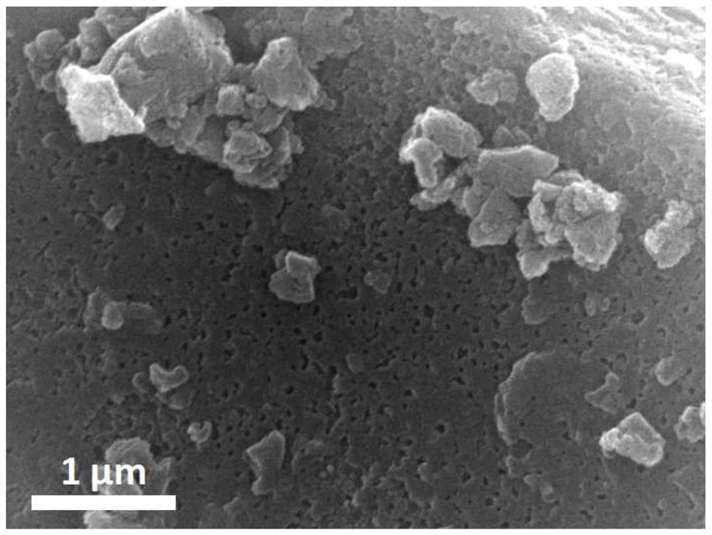 Preparation method of mesoporous carbon-based electrocatalyst