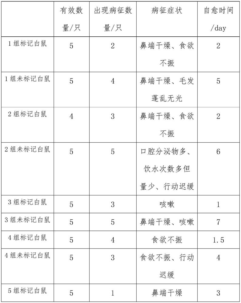 Tea drink capable of improving immunity based on traditional Chinese medicine food materials, vegetables and fruits and preparation method of tea drink