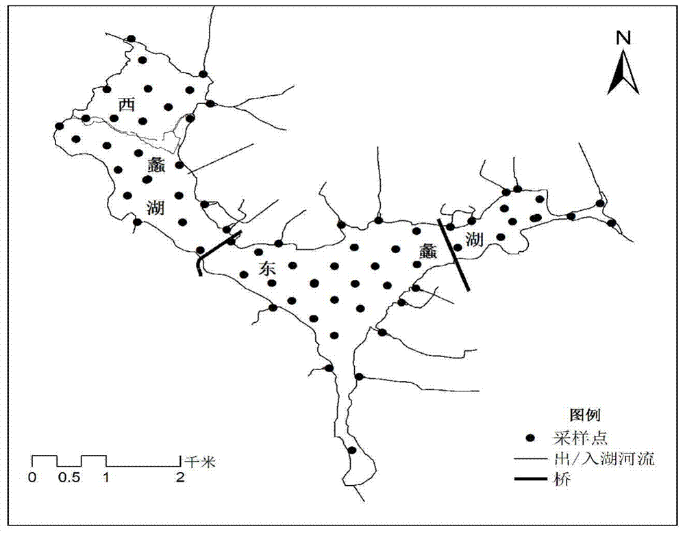 Method for determining target water area submerged plant recovery area