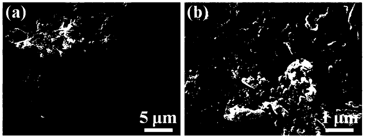 Facultative carbon nitride hydrophilic enrichment material as well as preparation method and application thereof