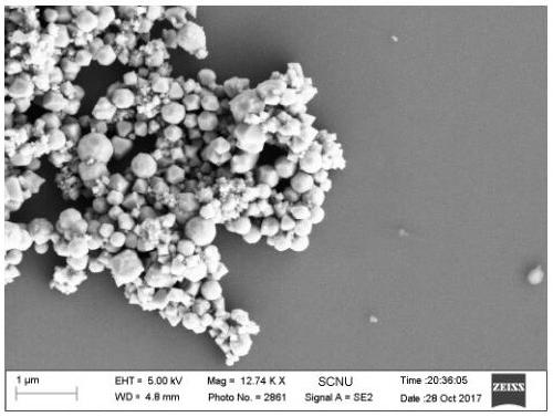 A preparation method of cobaltous oxide nanocrystals and cobaltous oxide nanocrystals prepared therefrom