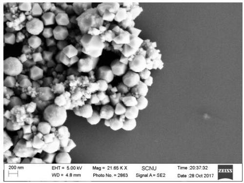 A preparation method of cobaltous oxide nanocrystals and cobaltous oxide nanocrystals prepared therefrom