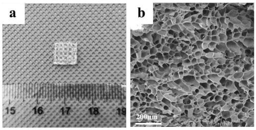 Photocrosslinking double-modified silk fibroin-gelatin composite bio-ink as well as preparation method and application thereof