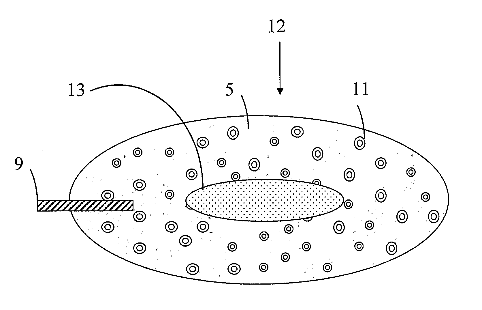 Uniformly abrasive confectionery product and process therefor