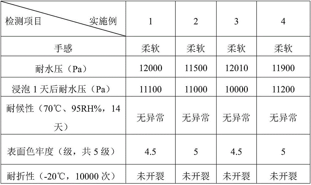 Water-based dry method foaming raincoat leather and preparation method thereof