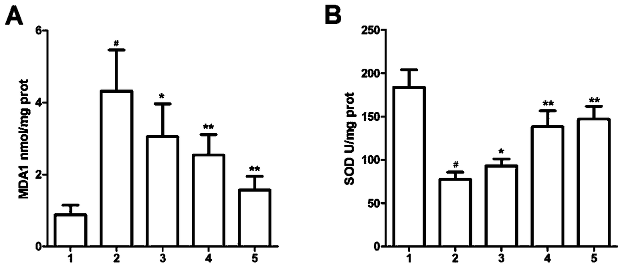 A method for detecting signal of diabetic nephropathy and glomerular mesangial cells utilizing Dendrobium officinale