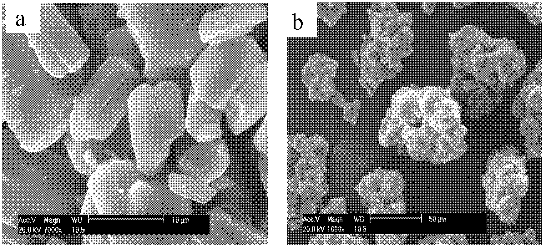 Expansible fire retardant having double-layer core-shell structure, and preparation method and application thereof