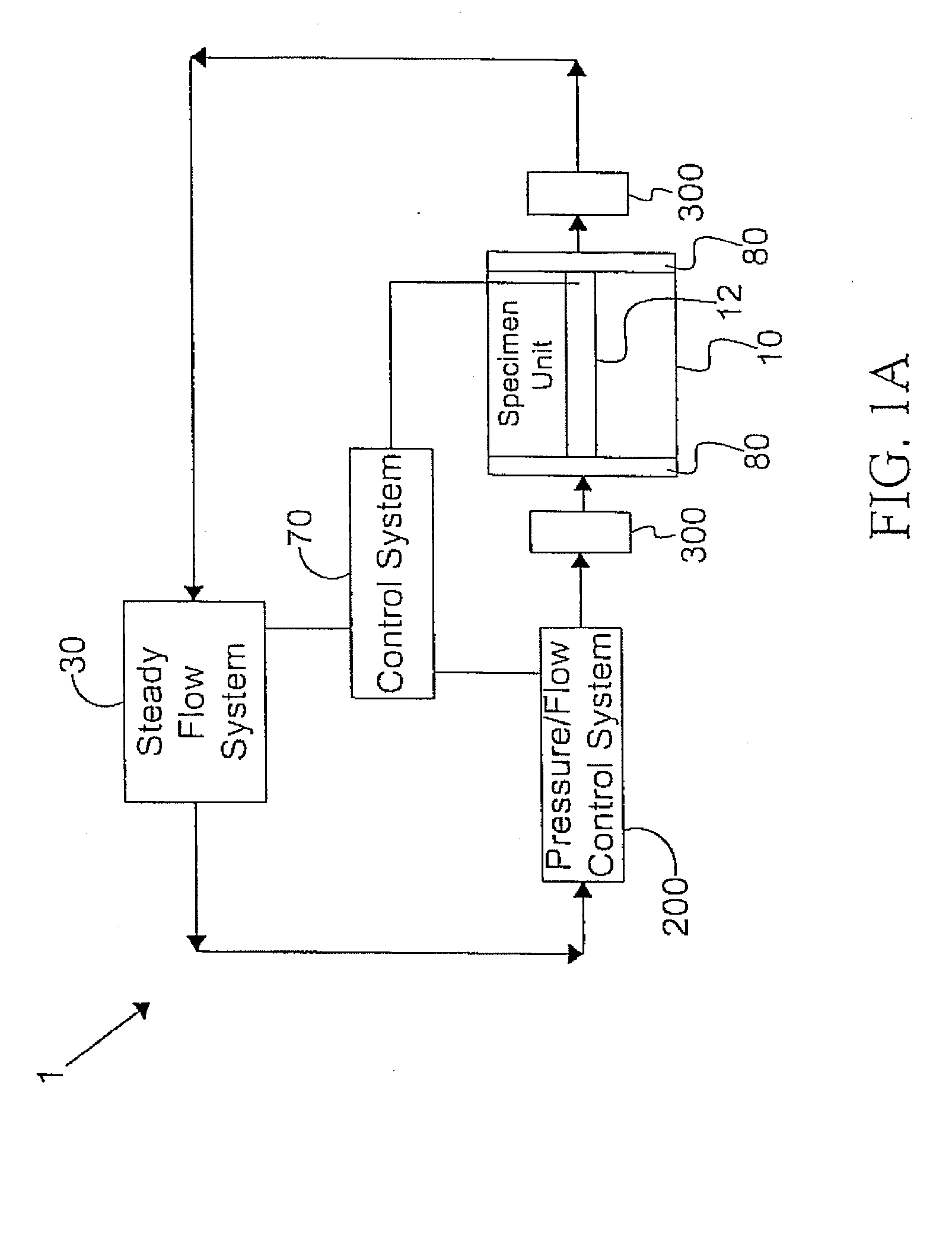 Systems and methods of promoting endothelialization of a hybrid hemodialysis access graft or a hybrid femoral artery bypass graft in a mammal