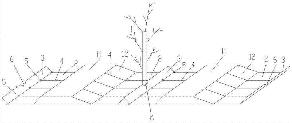 High-efficiency utilization of natural precipitation in forest and fruit fields and weed suppression device and method