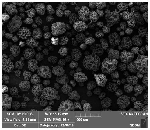 Highly porous gelatin microsphere