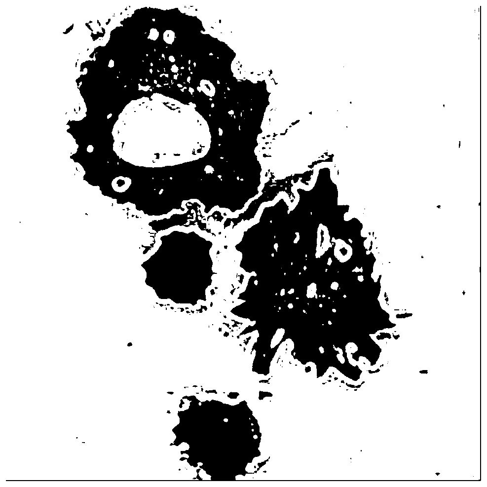 Highly porous gelatin microsphere