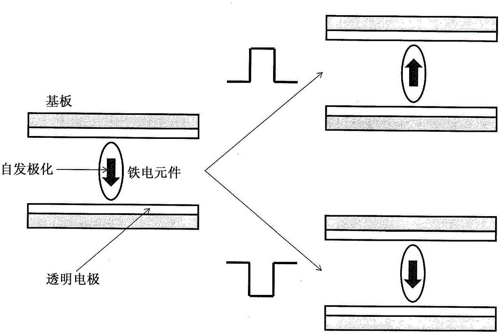 Display device with suspended ferroelectric particles