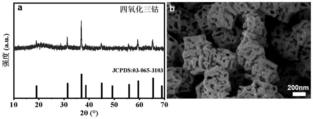 Metal oxide modified battery diaphragm with self-assembled three-dimensional structure as well as preparation method and application of metal oxide modified battery diaphragm