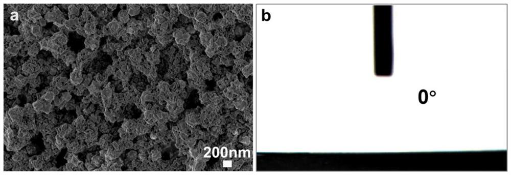 Metal oxide modified battery diaphragm with self-assembled three-dimensional structure as well as preparation method and application of metal oxide modified battery diaphragm