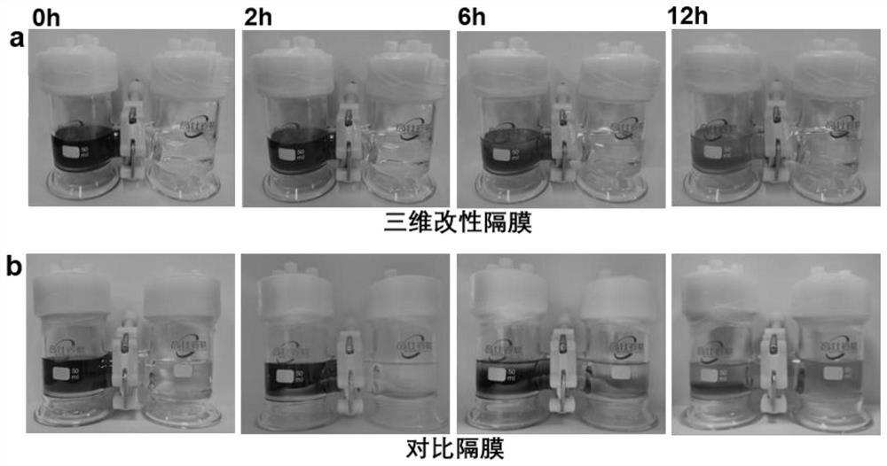 Metal oxide modified battery diaphragm with self-assembled three-dimensional structure as well as preparation method and application of metal oxide modified battery diaphragm