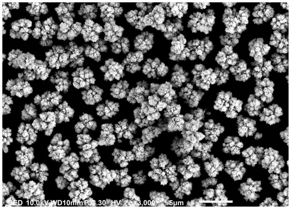 Cobalt oxyhydroxide and preparation method thereof, lithium cobaltate, electrode and lithium ion battery