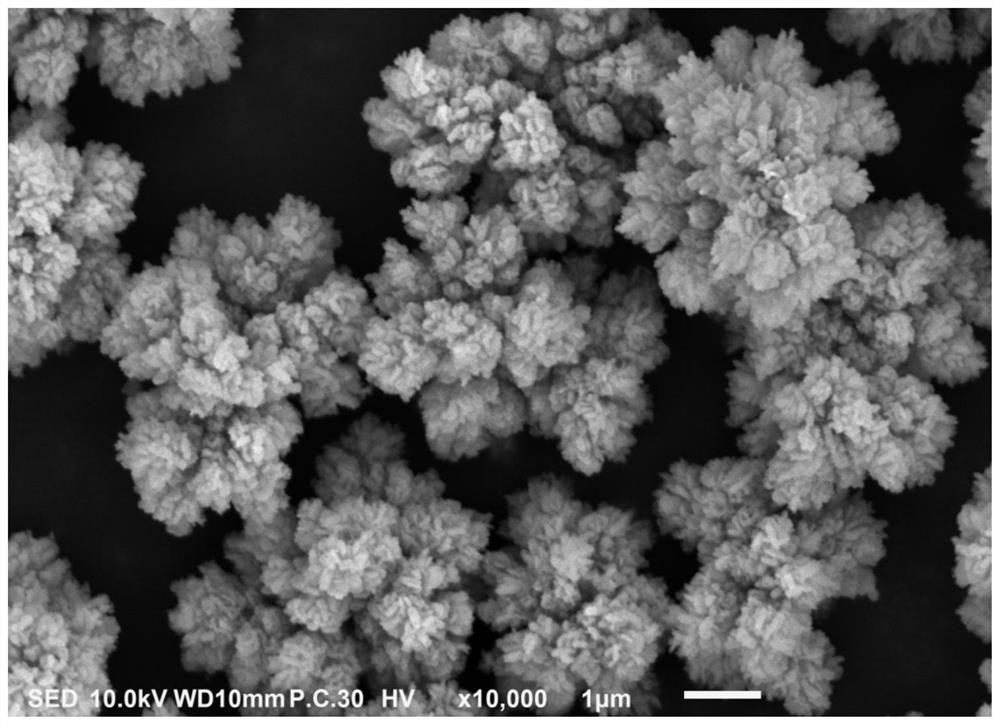 Cobalt oxyhydroxide and preparation method thereof, lithium cobaltate, electrode and lithium ion battery