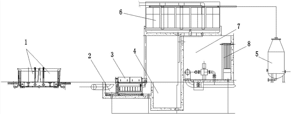 Salmon trout cultivating and feeding method